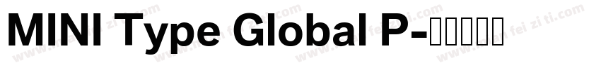 MINI Type Global P字体转换